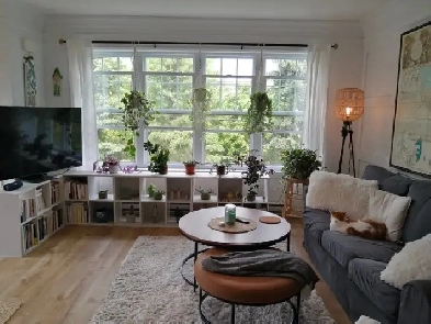 Superbe 4 et demi à louer dans le chic quartier Émile Zola Image# 14