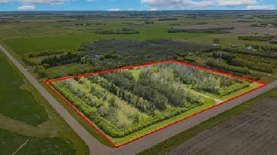 Serviced 10-Acre Treed Parcel Minutes from Dalmeny Image# 9