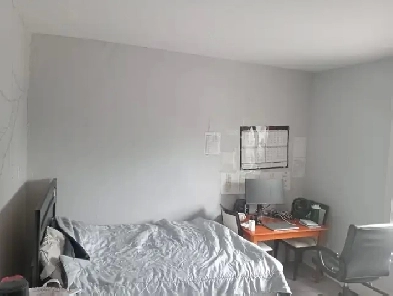 Guelph Summer Sublet Image# 3