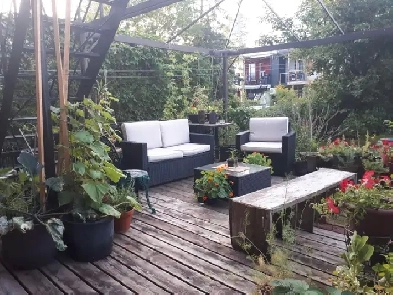 Colocation entre femmes, long terme dans Hochelaga 800$ Image# 2