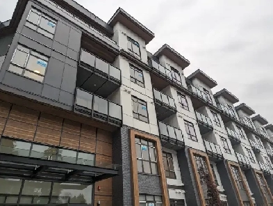 condo for rent near Surrey Memorial hospital Image# 10