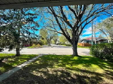Looking for roommates to share detached house Image# 15