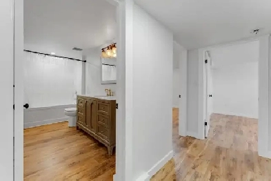 Large and Bright 2 Bedroom Newly Renovated Basement Unit Image# 1