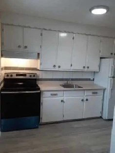3  Bed, 1 Bath $2345 - August 1st – Heron Park / Billings Bridge Image# 7