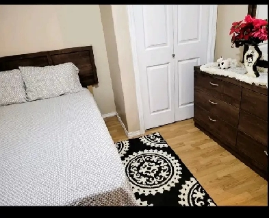 Room for Rent Image# 4
