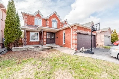 Basement for rent Image# 1