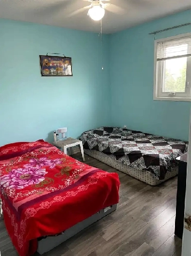 room for rent for girl Image# 5