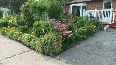 Amazing - House For Rent In Scarborough Image# 3