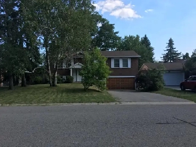 Markham Rd/Hwy7 Detached House Master Private Room for Rent Image# 11