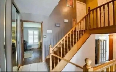 Rooms for Rent for student Girls / Full time working females Image# 7