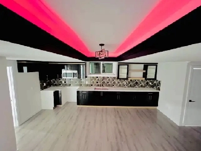 Basement for Rent in Fraser Near Manning Image# 1