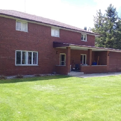 Large, Quiet Room for Rent Image# 1