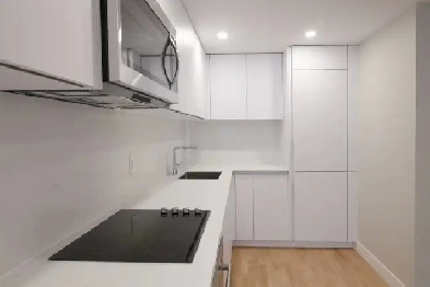 fully renovated 3.5, August 1, Snowdon near HEC, UdeM - ID 610 Image# 9