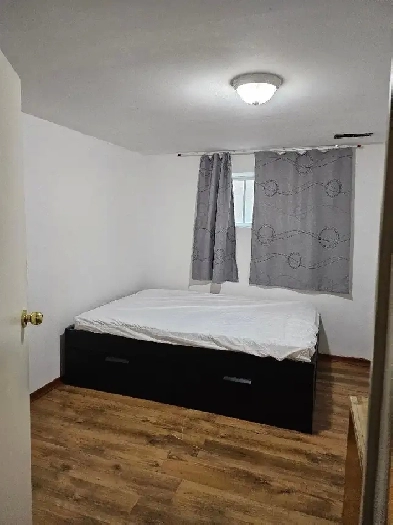 Room in the Basement @ Bellamy and Eglinton Ave East Image# 1