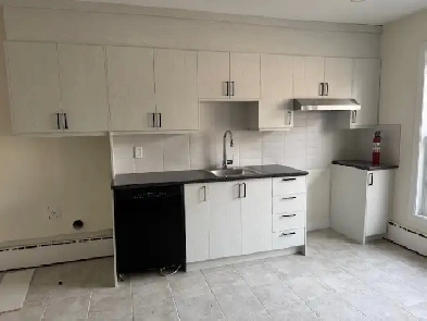 Newly Renovated 5½ Apartment for Rent Image# 10