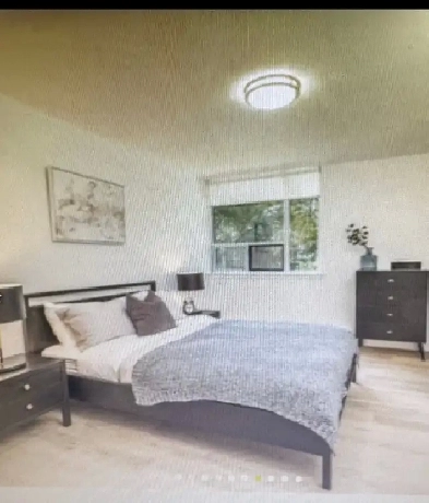 Etobicoke-Private Room for Single Professional Female Image# 1