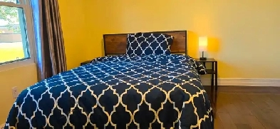 Bright and spacious room  in the first floor for rent Image# 1