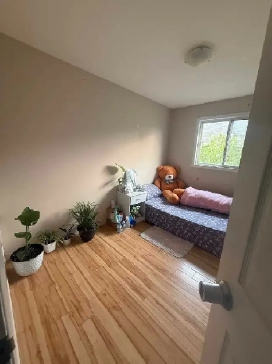 Student rental rooms near Fanshawe Image# 4
