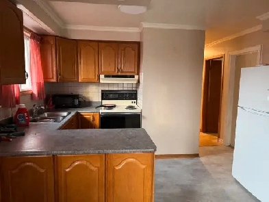 Rooms for rent for singles Image# 1