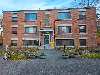 1 Bedroom Apartment, Available July 1st Near Carling & Merivale Image# 1