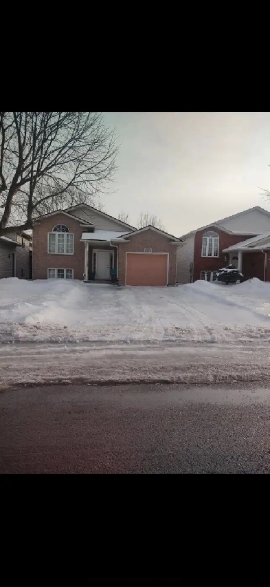 Niagara Falls 3 Bed 1 Bath all inclusive Great location House Image# 1