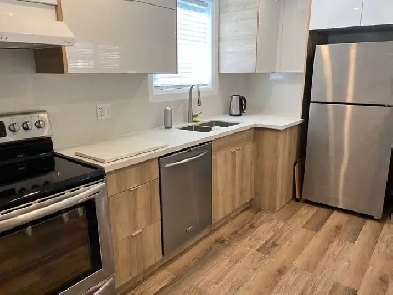 3 Bedroom House (apartment) for Rent - St. Clair and Warden Image# 4