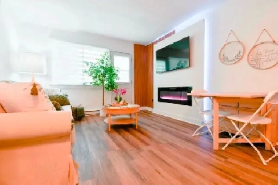 Appartement meublé et équipé Jean Talon Image# 1