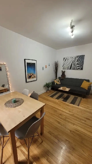 Logement à louer Image# 5