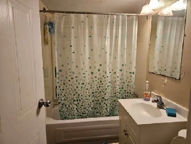 Renting a single bedroom in a two-bedroom apartment Image# 3