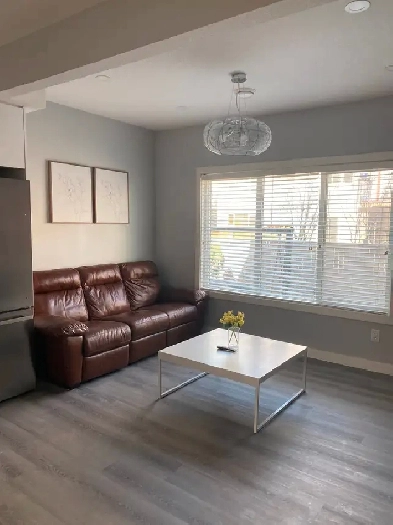 Short term from June - Monthly - Furnished Suite (1 Bed & Bath) Image# 14