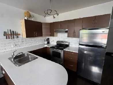 Super loft 2 ch, Griffintown, Sud-Ouest Image# 1