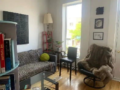 Roommate wanted — Parc & St-Viateur — $925/month Image# 6