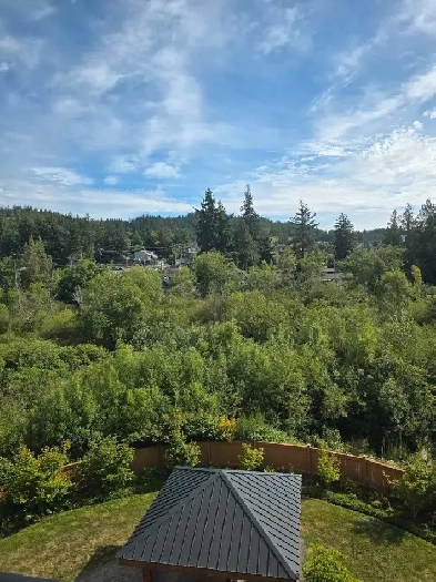 Roommate needed in langford Image# 1
