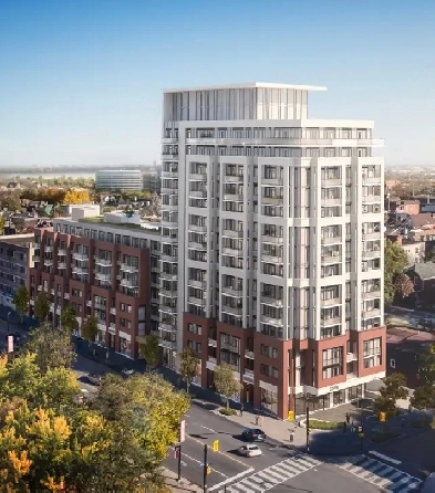 LARGE 1 BEDROOM SUITE WITH FREE INTERNET. AVAILABLE AUG 1ST Image# 1