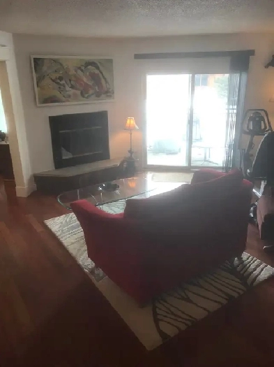 Furnished and private, tucked away in Tuxedo Image# 4