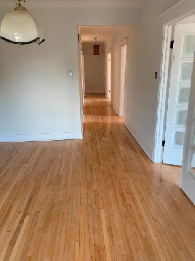 4 Bedrooms - 1 bathroom appartment in CDG (upper duplex) $2700 Image# 3