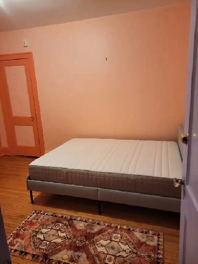Room Available July 1 (or slightly earlier) Image# 5