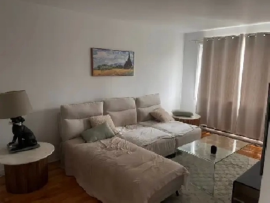 Beautiful, Spacious 2-Bedroom Apartment for Rent – Prince of Wa Image# 4