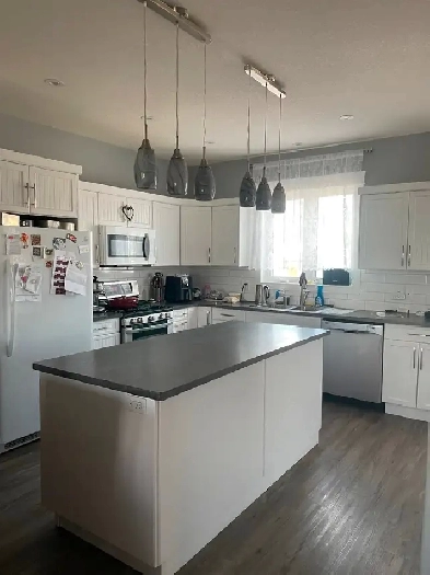 Looking for a perfect fit, Room FREE for June. Image# 1