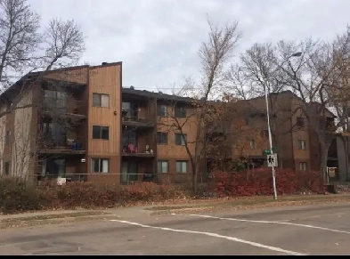 1 Bedroom For Rent In Strathearn! GREAT Location Avail July 1st! Image# 7
