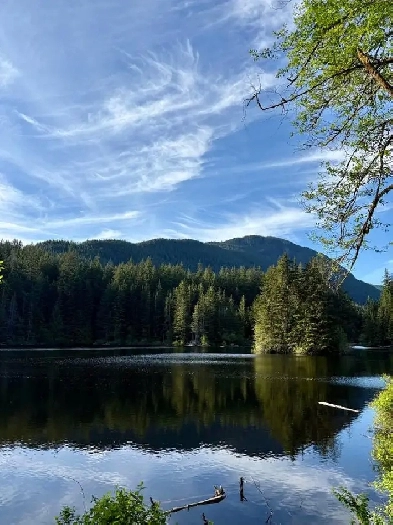 Quiet Professional Seeks House-Sit, Sublet $1K, or Room Image# 1