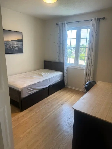 2 rooms available- close to Carleton   Algonquin Image# 6