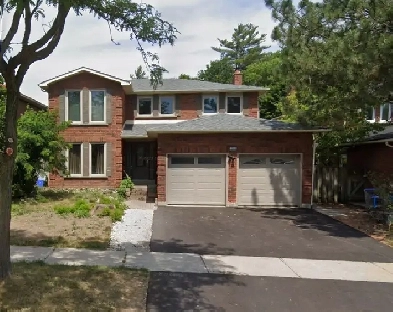 Walk-out Basement for Rent Image# 1