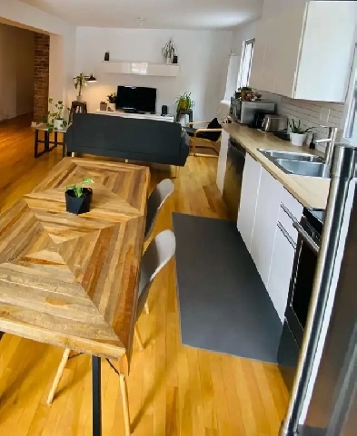 4 1/2 Appartement Ahuntsic Image# 7
