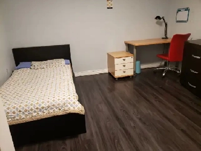 Renting a  Basement Room Image# 1