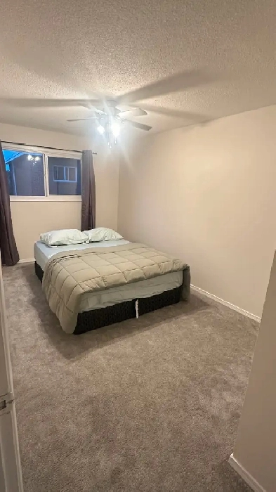 Private Room for Male Image# 2