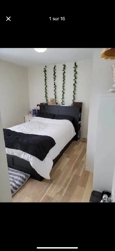 Appartement Image# 9