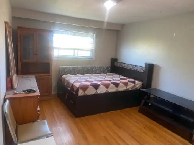 1 Bedroom beautiful brand new legal Basement for rent Image# 1