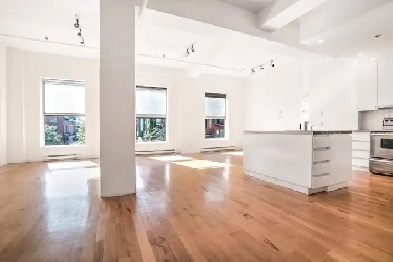 Loft  ensoleillé 2CH - Plateau-McGill-Mile End - Sunny 2BR Loft Image# 1