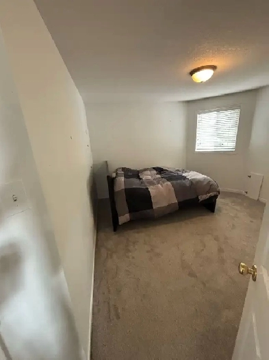 Room for Rent in Guelph Image# 1